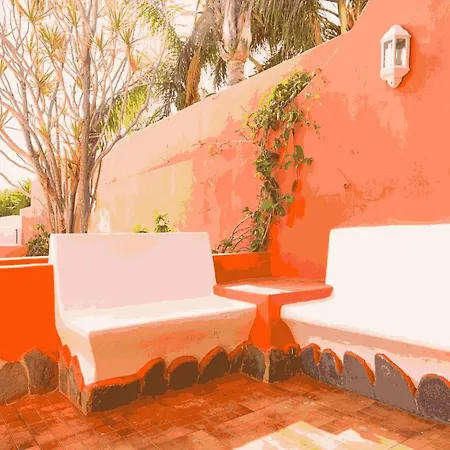 Avo House Garden